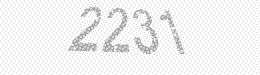 Visual security code — type the characters shown in the image